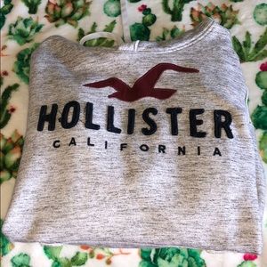 Men’s hollister hoodie